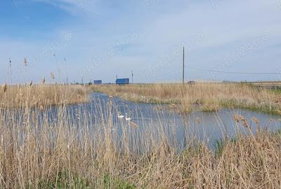 De Vanzare, Casa la tara - 2