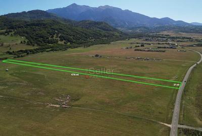 Teren extravilan Rasnov - 18