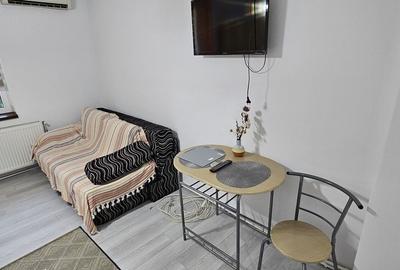 Baba Novac garsoniera mobilata si utilata complet Baba Novac garsoniera mobilata si utilata complet - 4