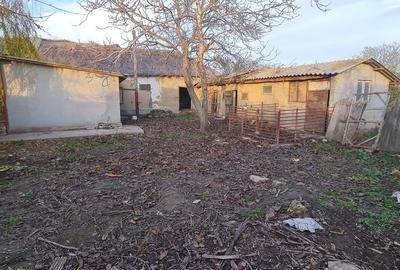 Casă cu 3 camere cu Teren 3200 Mp în Ceamurlia de Jos - 4