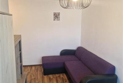 Apartament cu 2 camere semidecomandat, mobilat în Șagului - 9