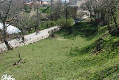 Teren de 3682 mp, în Măneciu - 5