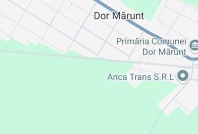 Calarasi Dor Marunt, casa 4 camere din caramida, 2550 mp - 5