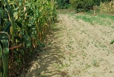 Spațiu comercial, în Voroveni - 9