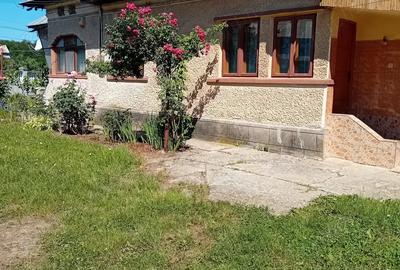 Casa cu anexe si teren, Sat Ghirdoveni, Jud. Dambovi?a - 2