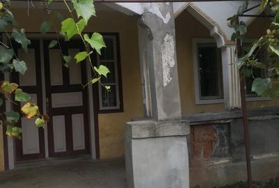 Vand casa batraneasca in Prajesti 77m2,plus 2 anexe gospodare?ti cu teren 4900m2 - 1