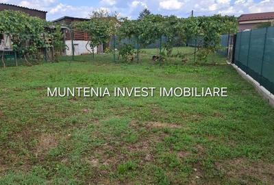 Casă cu 3 camere în Broșteni - 11