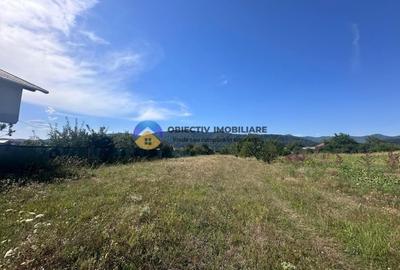 Teren intravilan de vanzare – 1.688 mp, Dumbrava Rosie - 6