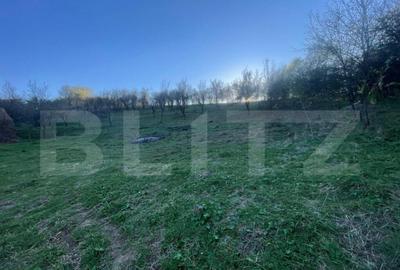 Teren Intravilan 1890mp Oarda de Sus - 2