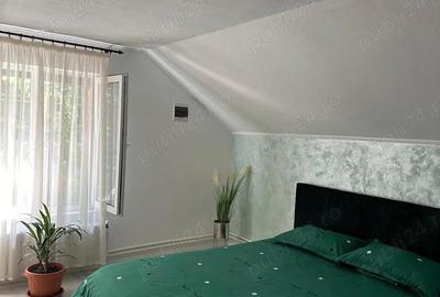 Casa P+M, Mihaesti-Barsesti - 11