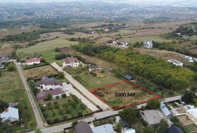 Teren de 28500 mp, în Păun - 1