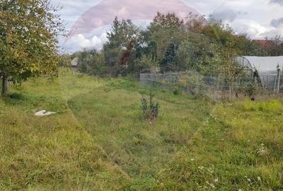 Teren 1,100mp Sighetu Marmatiei / Strada Pescarilor - 4