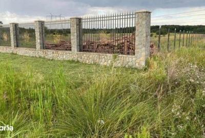 Teren de 1250 mp, în Ciocănești - 2