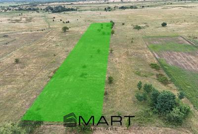 Teren Construcții intravilan de 5000 mp, în Central - 3