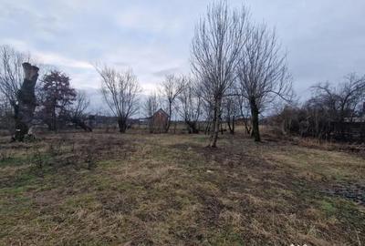 Casă cu 3 camere cu Teren 1800 Mp în Mogoșești - 8