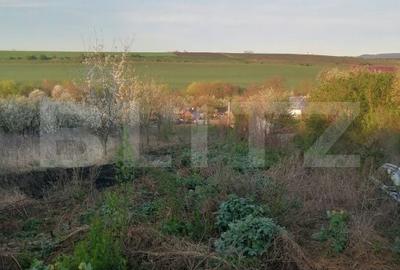 Teren de 1500 mp, în Central