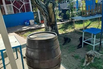 Casă cu 3 camere cu Teren 130 Mp în Central - 2