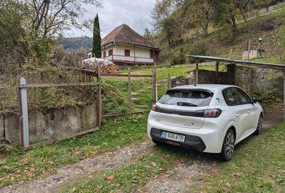 Casă cu 3 camere cu Teren 7100 Mp în Roșeni - 10