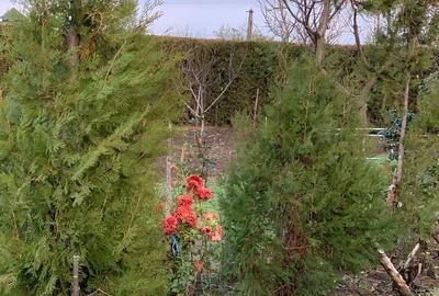 Spațiu comercial, în Vânători - 9