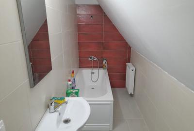 Apartament cu 3 camere decomandat în Petru Rareș - 8