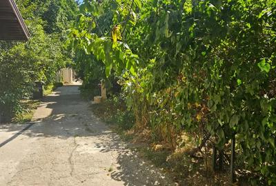 Vand Casa in Bucuresti - 8