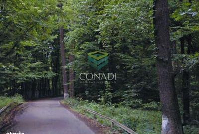 Spațiu comercial, în Șanțu-Florești - 3