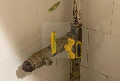 Apartament cu 2 camere semidecomandat, mobilat în Crângași - 8