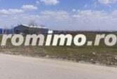 Teren intravilan 10.000 -38.000 mp industrial 1 Decembrie- DN5 stradal - 1