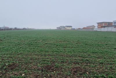 Teren agricol intravilan de 10000 mp, în Exterior Sud - 7