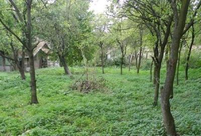 Casă de vânzare în Calnic, Alba – liniște, natură și potențial turistic - 12