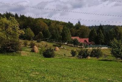 Teren de 11000 mp, în Valea Doftanei - 1