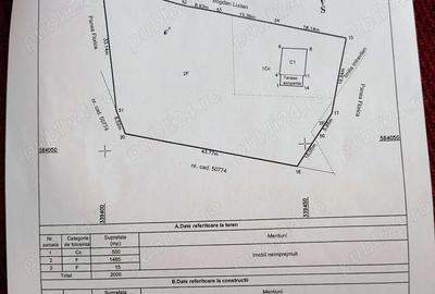 Casă cu Teren 2000 Mp în Scrind-Frăsinet - 5
