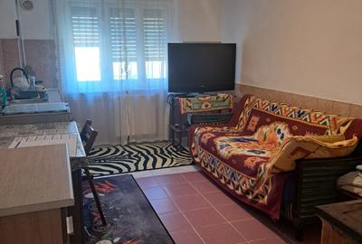 Ocazie!!!  Deva – Vila 8 Camere [ P+E1+E2 ]– Proiect 2 Familii - 11