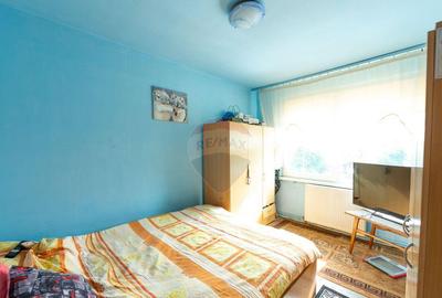 Apartament cu 4 camere decomandat în Craiter - 8