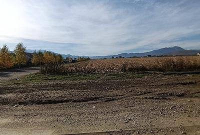 🌳 Teren de vânzare în Comuna Cristian – județul Brașov 🌳 Teren de vânzare în Comuna Cristian – județul Brașov - 6