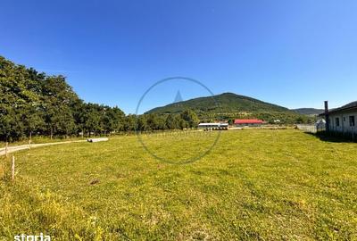 Teren de 700 mp, în Șieu - 3