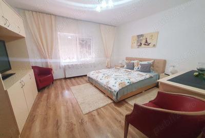 Afacere la cheie+ Casa de locuit in Berzasca-Dunare, mun?i ?i padure! - 7