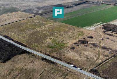 Teren de 9000 mp, în Sânmihaiu Român - 1