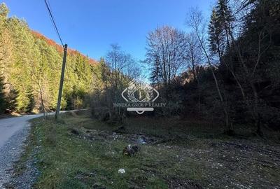 Teren 2.882 mp – oportunitate investitie - Cheile Dâmbovicioarei - 15