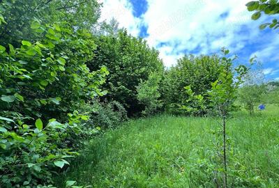 Teren de 4200 mp, în Ocina de Sus - 3