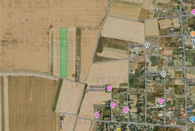 Teren de 5000 mp, în Vadu - 4