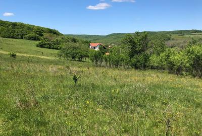 Spațiu comercial, în Central