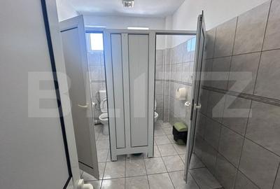 Birou, de 480 mp, în Brazda lui Novac - 20