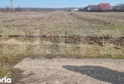 Teren de 2240 mp, în Lipănești - 3