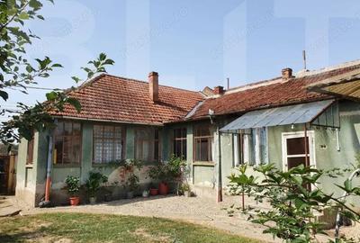 DE VANZARE Casa cu gradina mare in Lugoj - 4