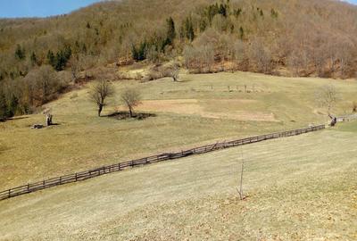 Teren de 30000 mp, în Pleșcuța - 6