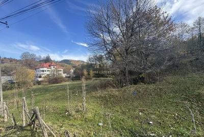 Teren de 13167 mp, în Bughea de Sus - 5