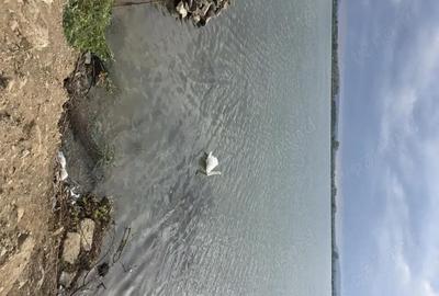 Teren de 719 mp, în Pojejena