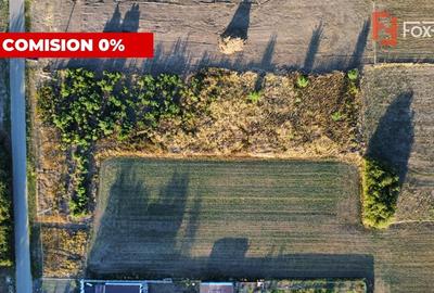 Teren Construcții intravilan de 2779 mp, în Parța - 11