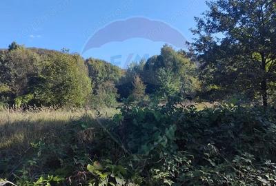 Teren 1,552mp Cicarlau - 2